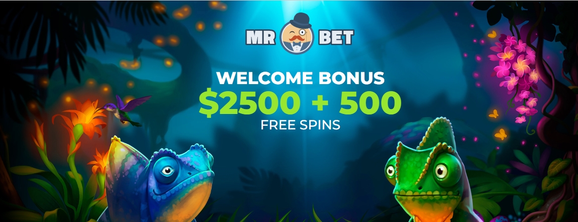 Casino Mr Bet Welcomes You